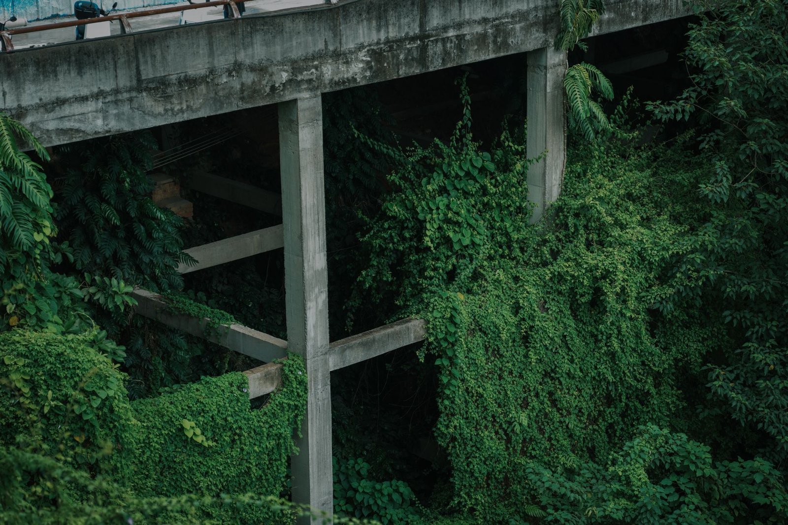 Green Storytelling 2026: How Climate Fiction Drives Change