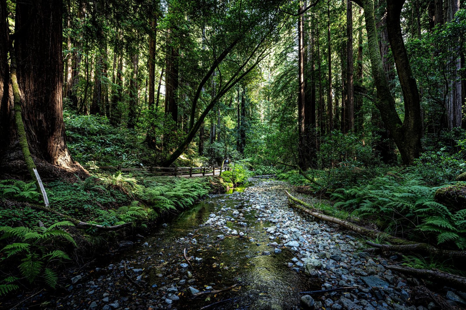 California Joins IUCN: Global Climate Leadership Shifts
