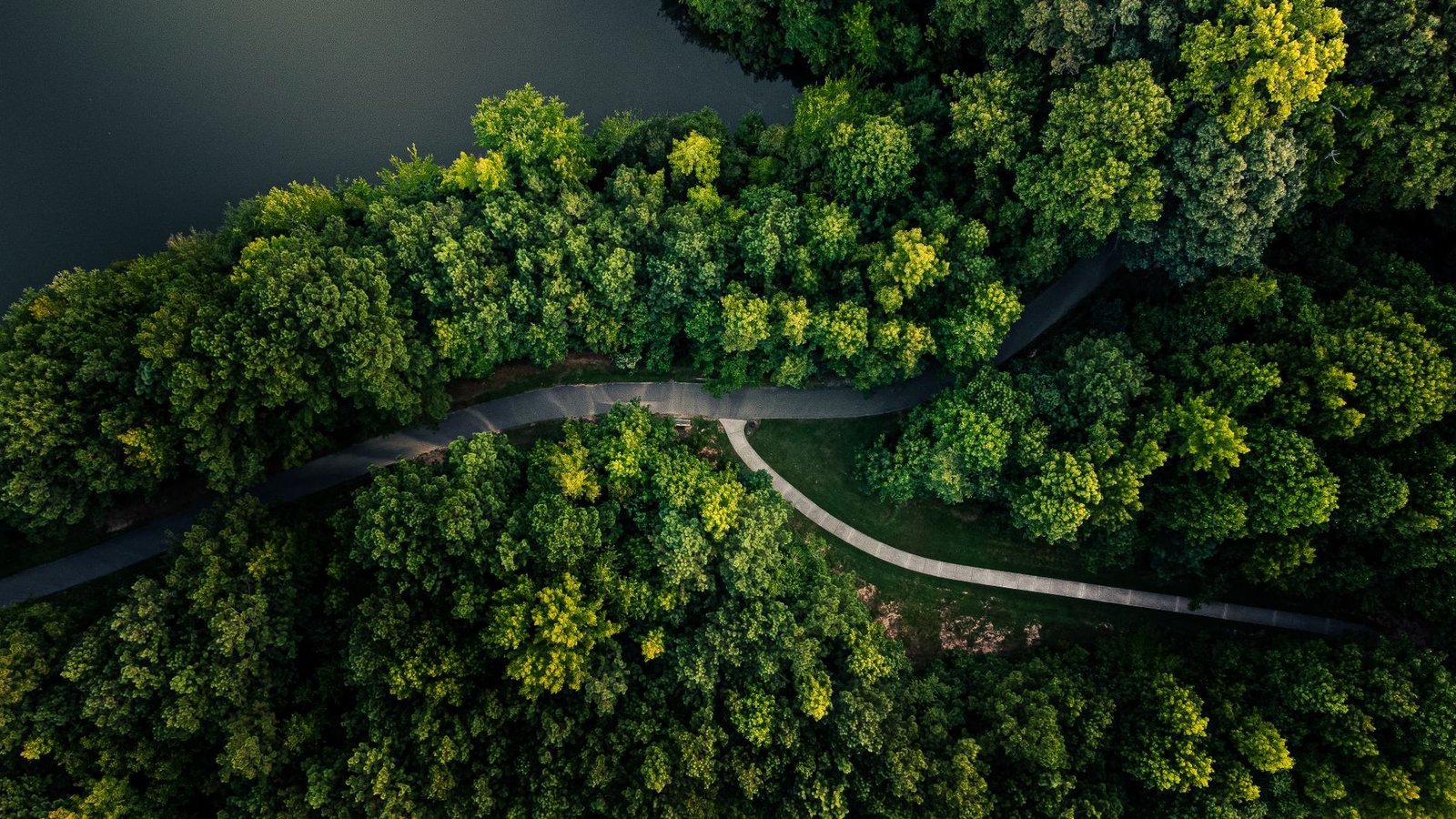 EPA Endangerment Finding Repeal: Why Green Groups Are Suing