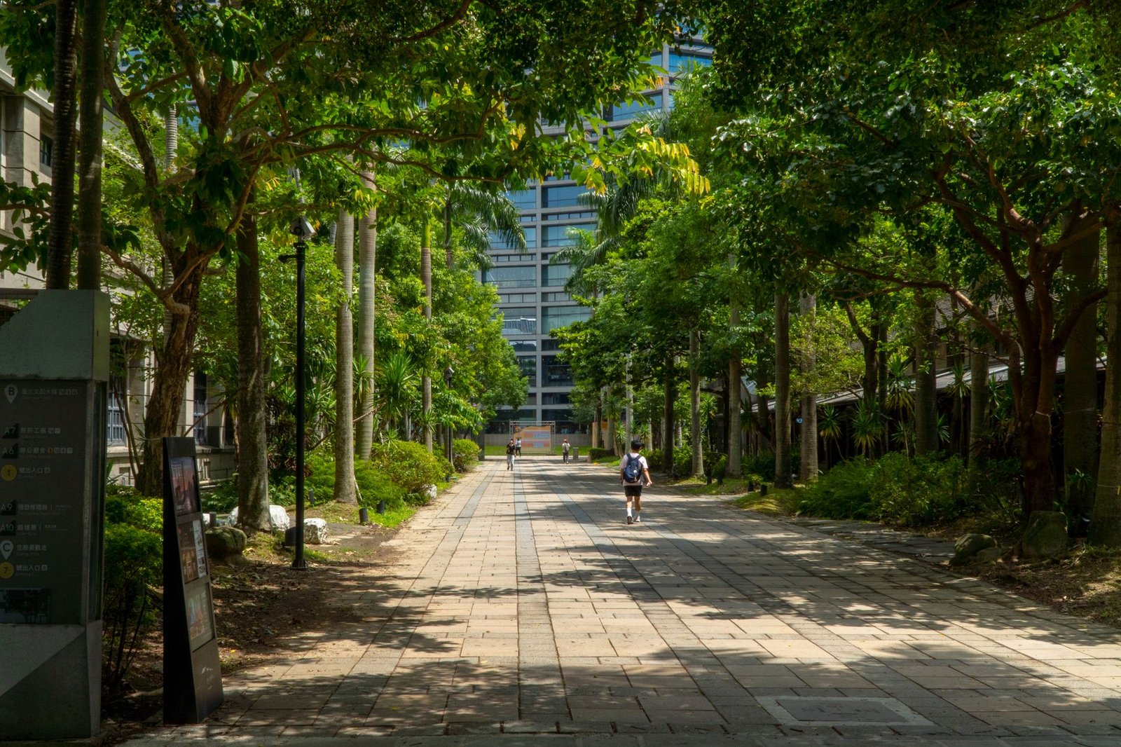 Green Campus 2026: How Universities Are Going Net Zero