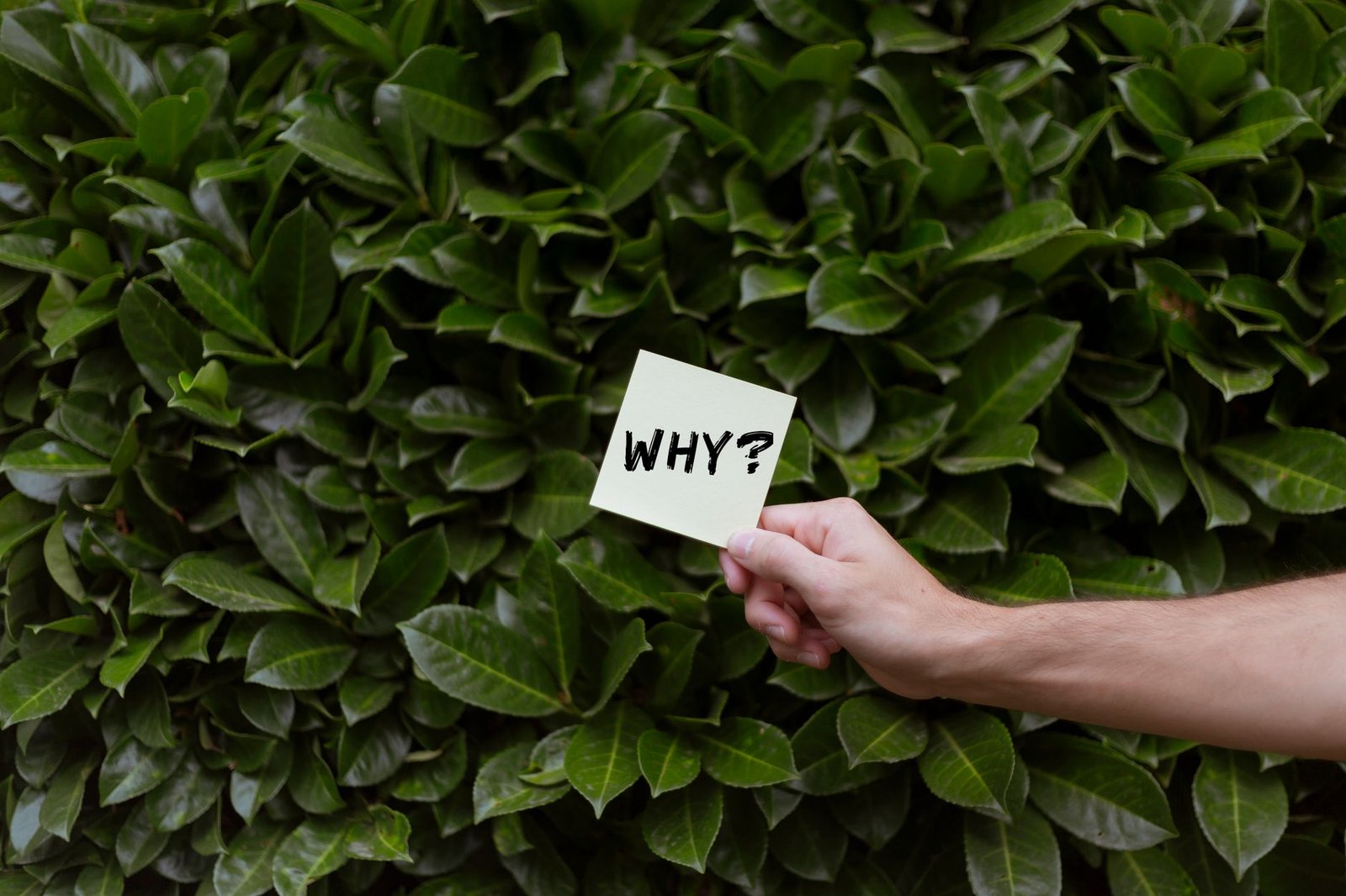 Sustainability Education 2026: Why Schools Are Going Green